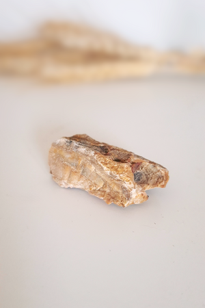 Pierre brute - Bois fossilisé