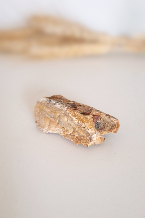 Pierre brute - Bois fossilisé