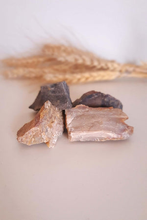 Pierre brute Bois Fossilisé naturel lithothérapie - Lot fossiles 20-200 millions années ancrage et sagesse du temps