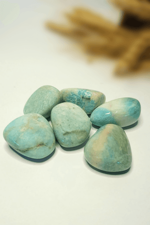 Pierre roulée Amazonite naturelle lithothérapie - Lot pierres turquoise communication douce et apaisement
