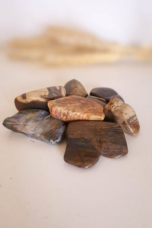 Pierre roulée Bois Fossilisé naturel lithothérapie - Fossile millions années ancrage sagesse ancienne

