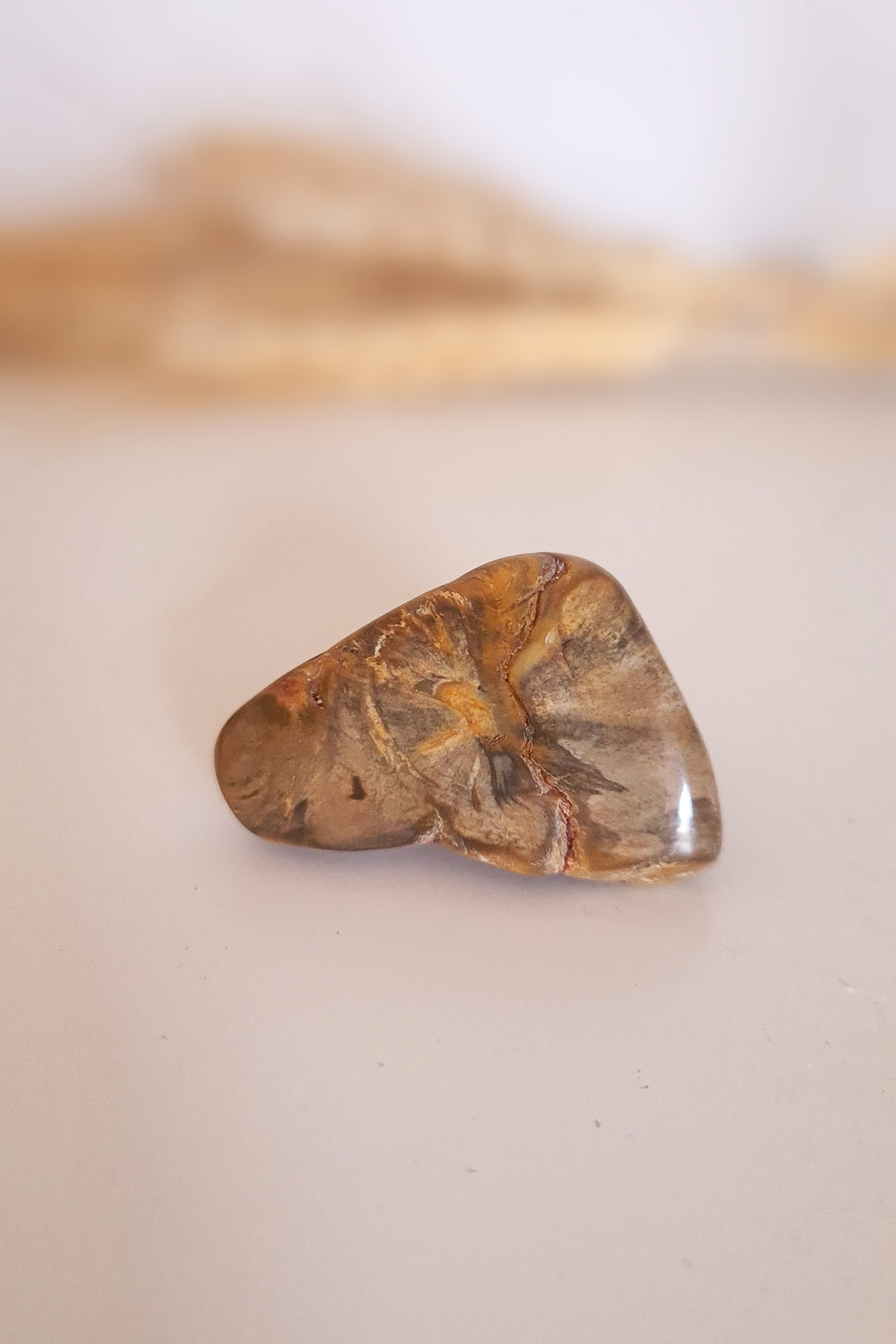 Pierre roulée - Bois fossilisé